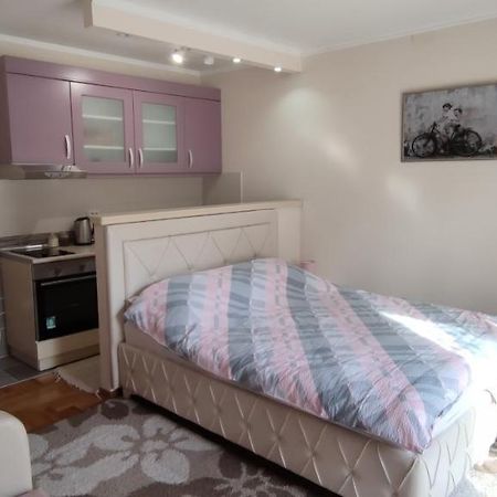 Alex 2 Apartman Vrnjačka Banja エクステリア 写真