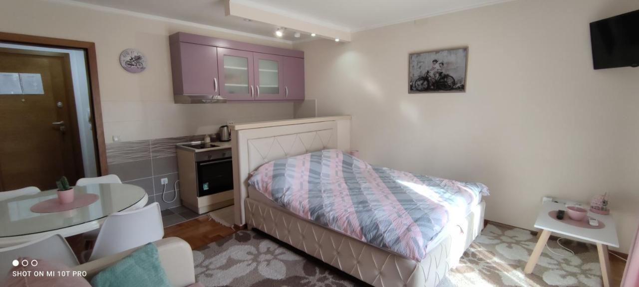 Alex 2 Apartman Vrnjačka Banja エクステリア 写真
