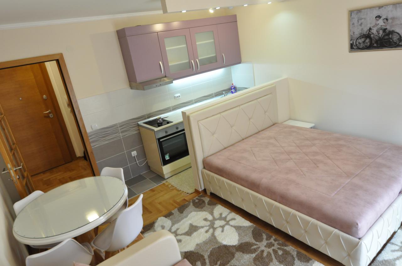 Alex 2 Apartman Vrnjačka Banja 部屋 写真