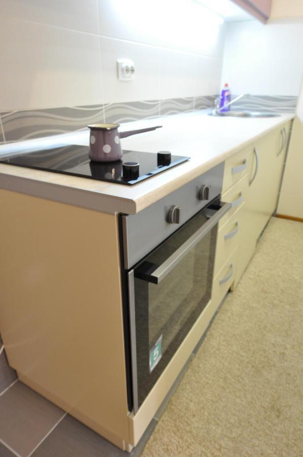 Alex 2 Apartman Vrnjačka Banja 部屋 写真