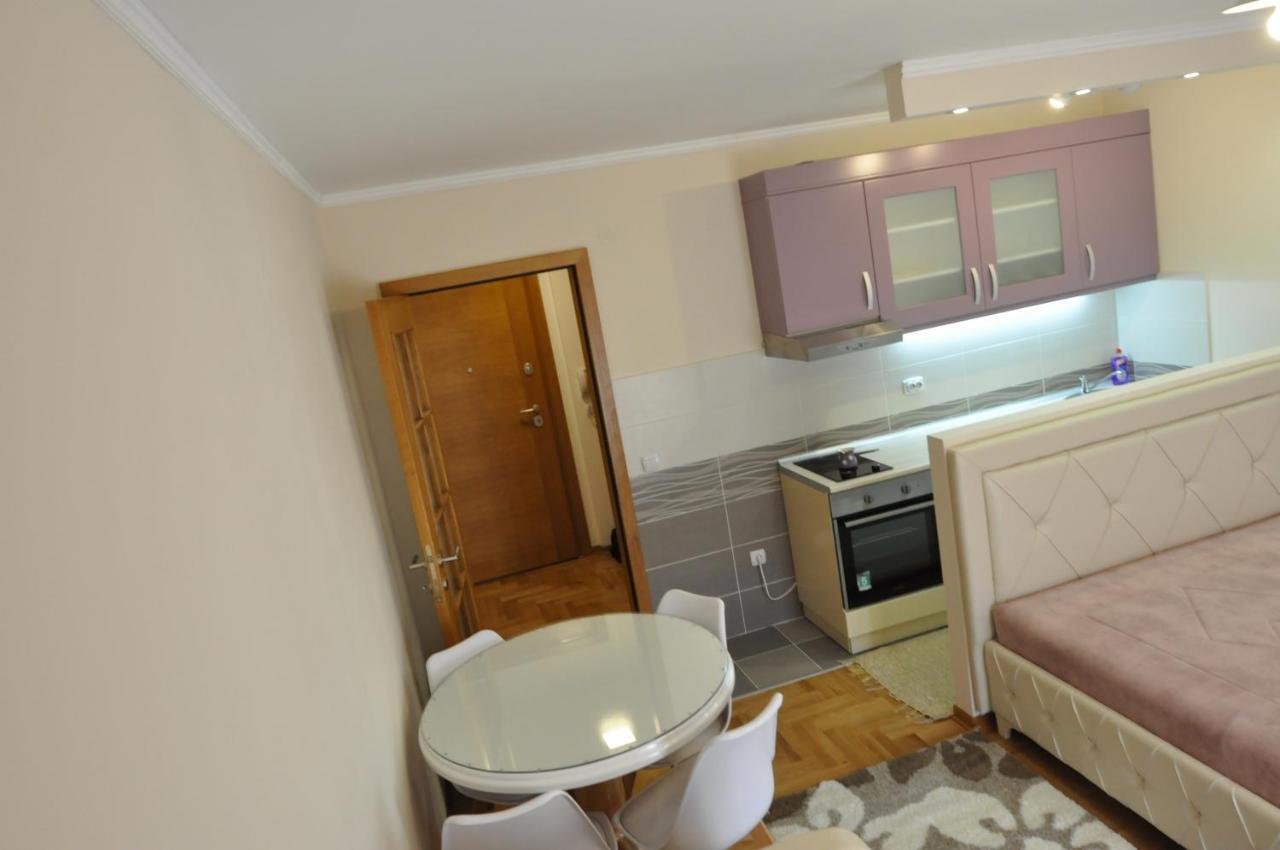 Alex 2 Apartman Vrnjačka Banja 部屋 写真