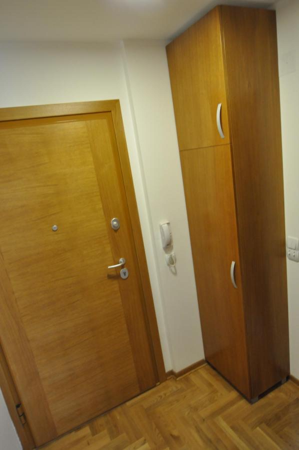 Alex 2 Apartman Vrnjačka Banja 部屋 写真
