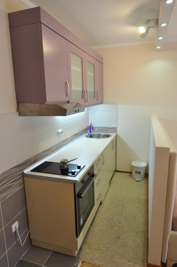 Alex 2 Apartman Vrnjačka Banja 部屋 写真